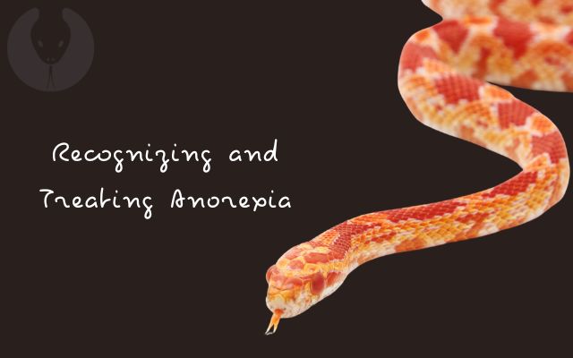 Recognizing and Treating Anorexia