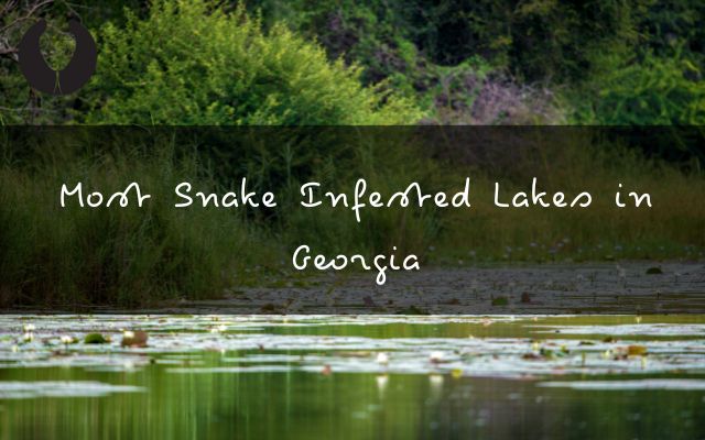 Most Snake Infested Lakes in Georgia