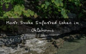 Most Snake Infested Lakes in Oklahoma